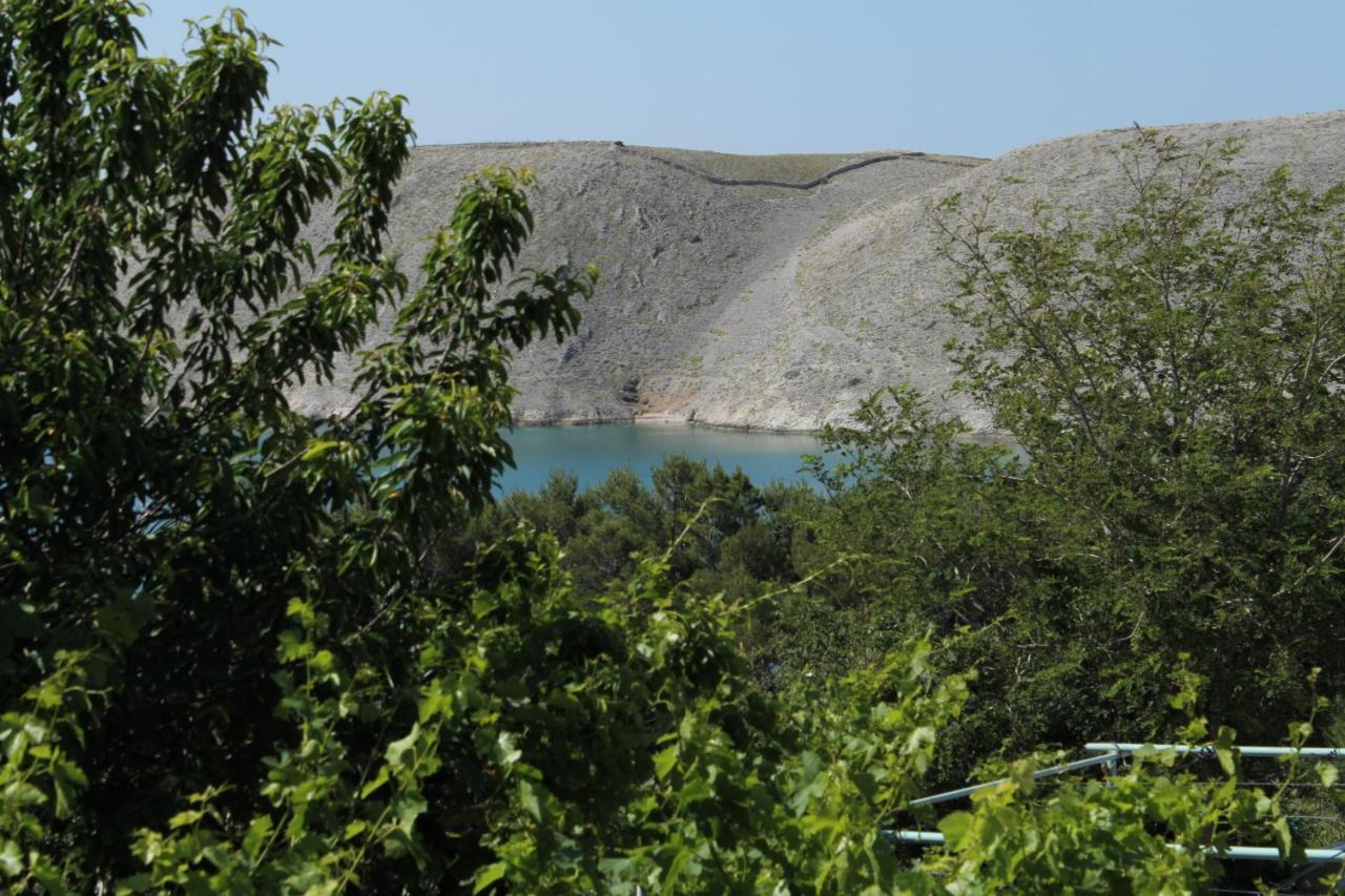 Family Friendly Seaside Apartments Vlasici, Pag - 4319 Экстерьер фото